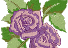 rose 05 - 5x7 jc